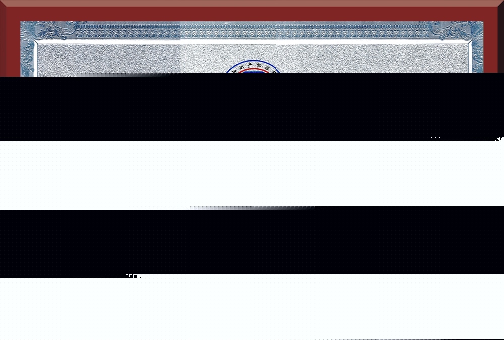 05、廣東省知識(shí)產(chǎn)權(quán)示范企業(yè)